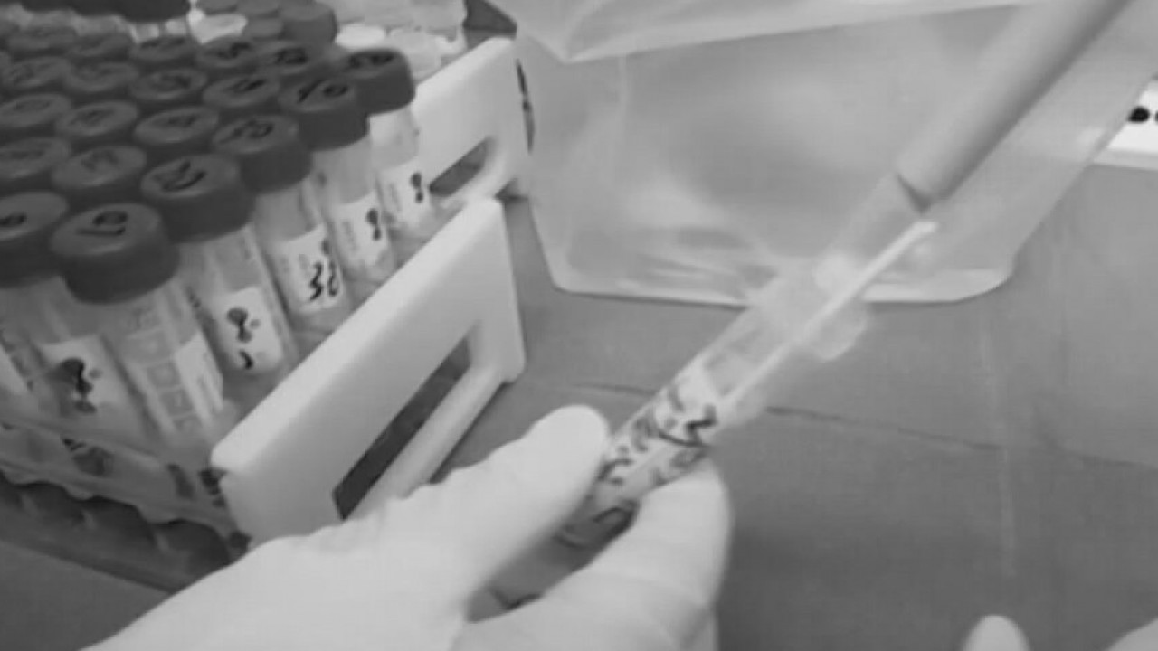 We Are Blood asking for plasma from patients who have recovered from COVID-19