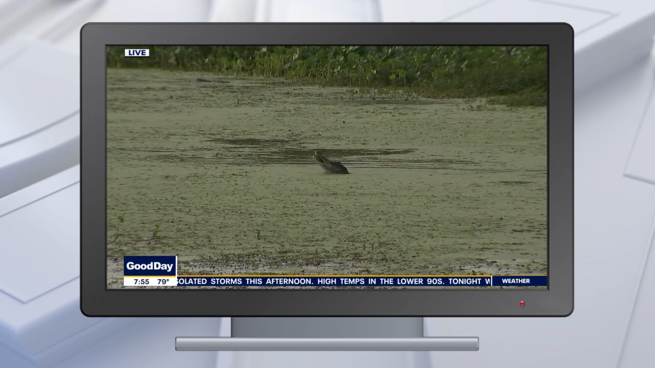 Good Day Goodies: Oct. 9, 2020