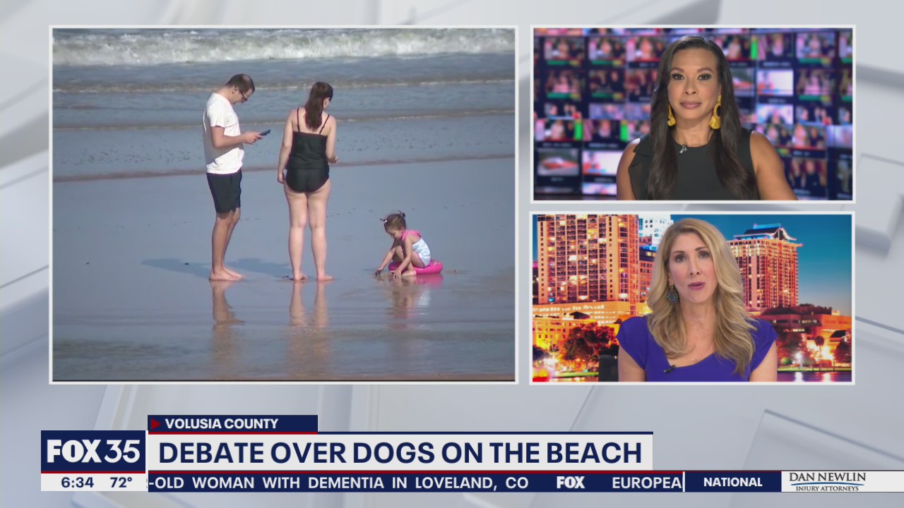 Debate over dogs on Volusia County beaches