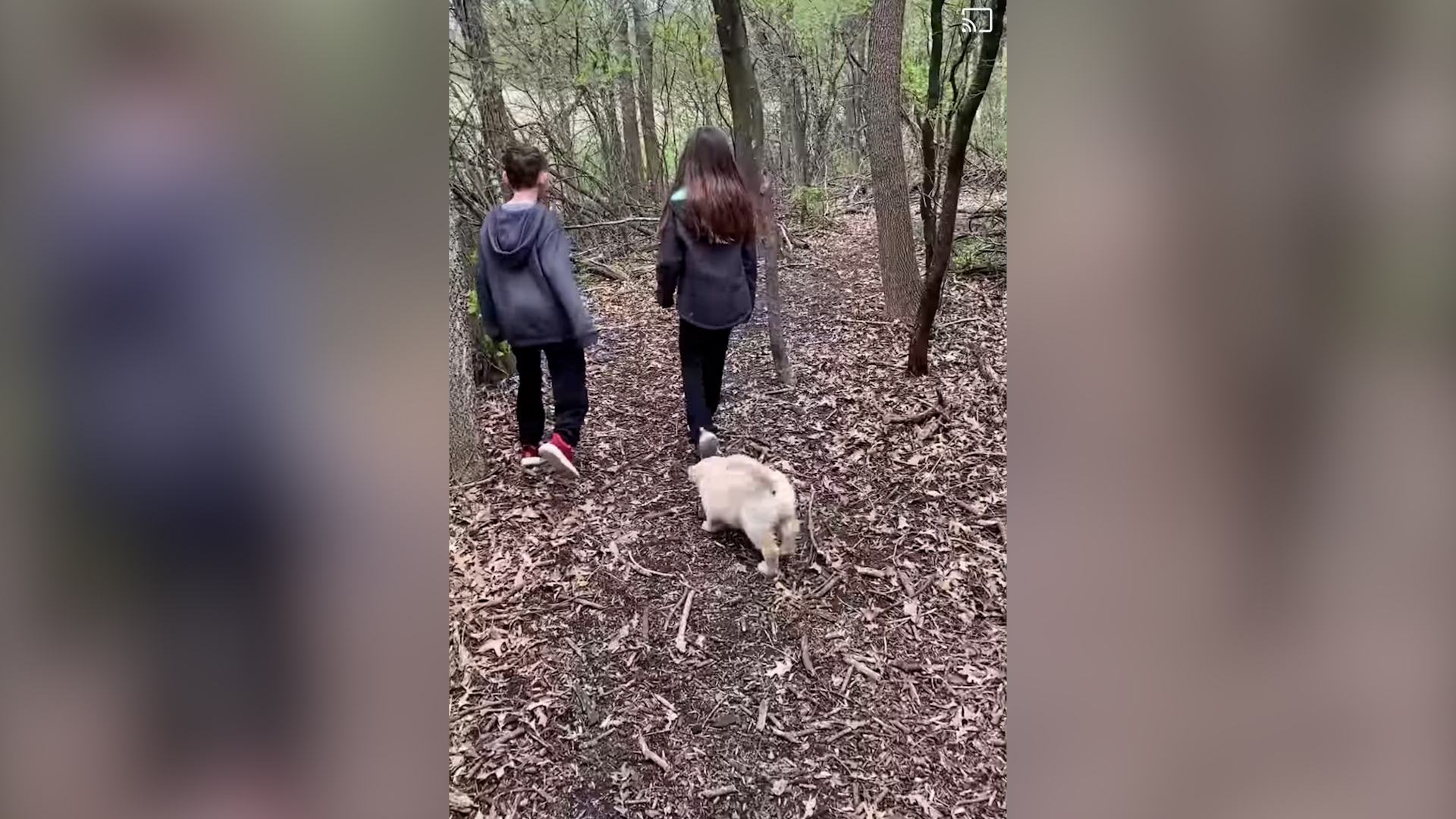 Boy with prosthetic leg adopts puppy missing paw