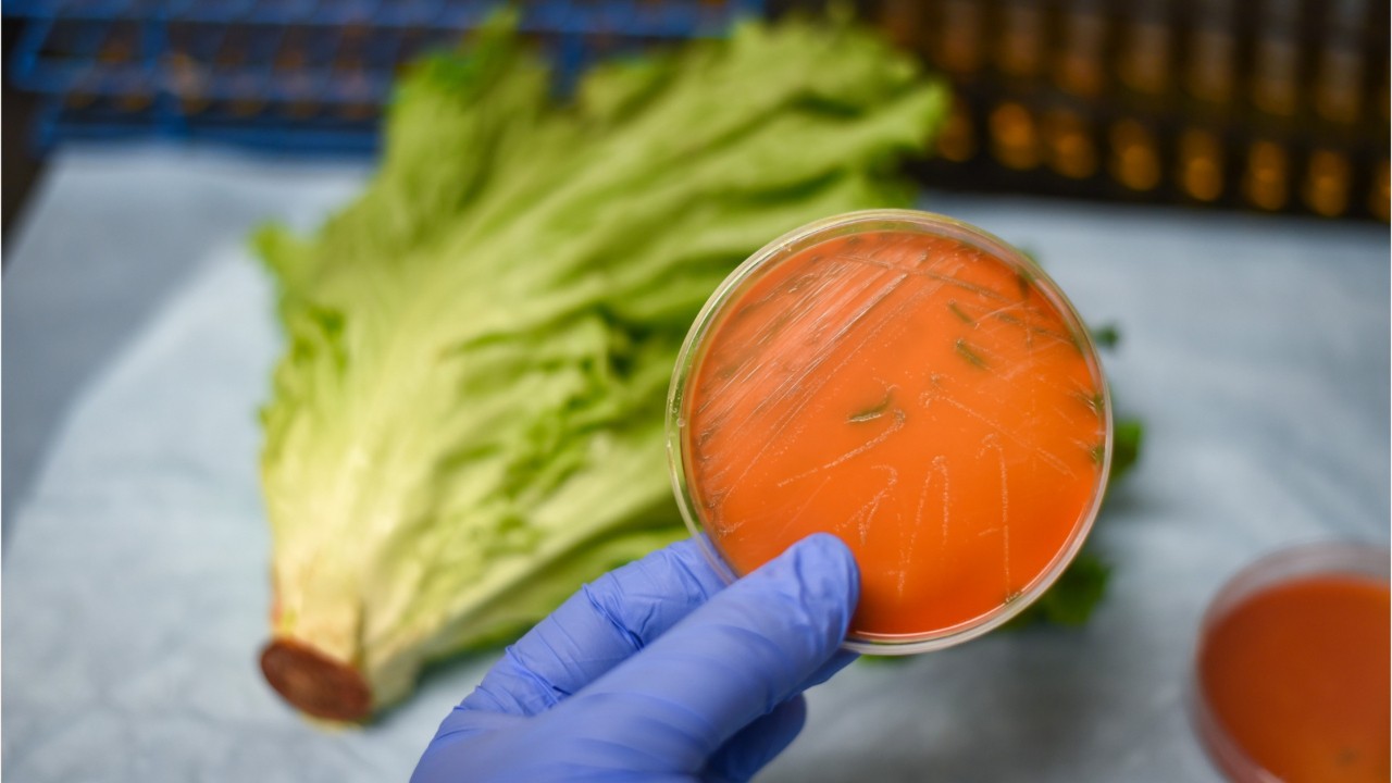 Recall: More than 100 vegetable products sold in US, Canada recalled over listeria risk