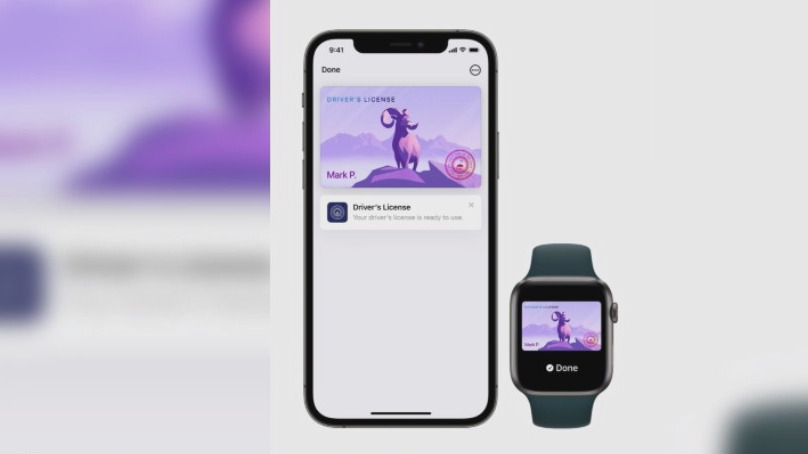 Arizona one of the first states to allow its drivers licenses to be put into Apple Wallet