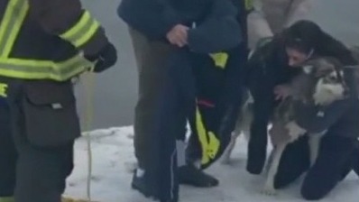 Dog rescued from lake