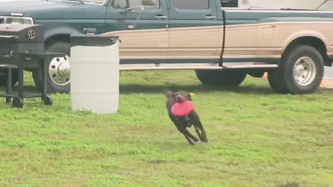 Fans have fun at the Daytona International Speedway ahead of the race