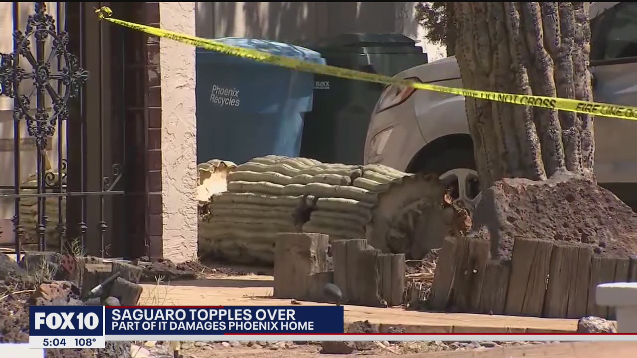 Cactus topples, damages Phoenix home