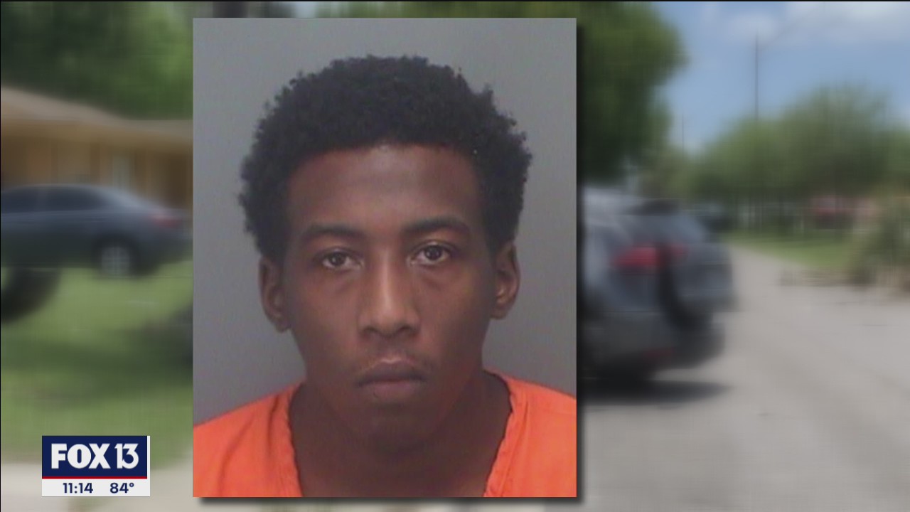 Driver arrested in St. Pete crash that killed 2