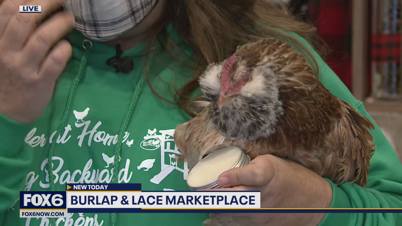 arm fresh eggs right in your own backyard – It’s possible and that’s exactly what Royal Roost can get you set up with