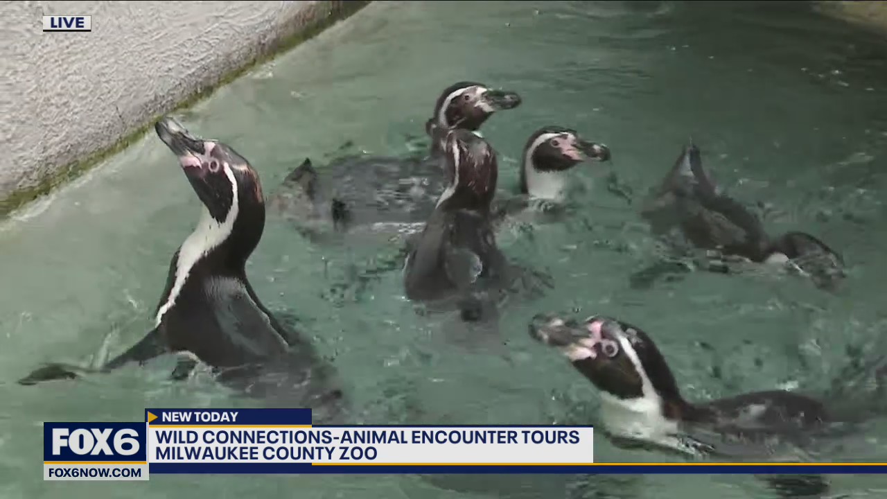 Did you know that the Milwaukee County Zoo offers Wild Connections-Animal Encounter Tours?