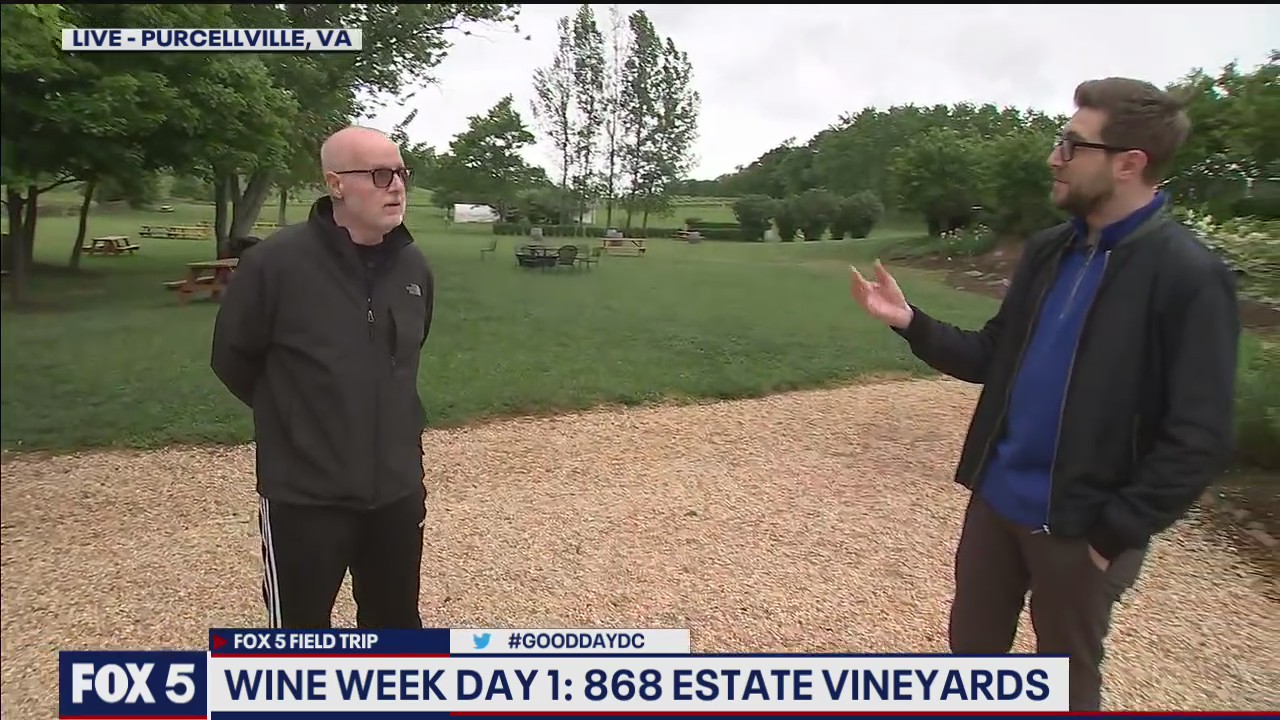 FOX 5 FIELD TRIP: Visit to 868 Estate Vineyards