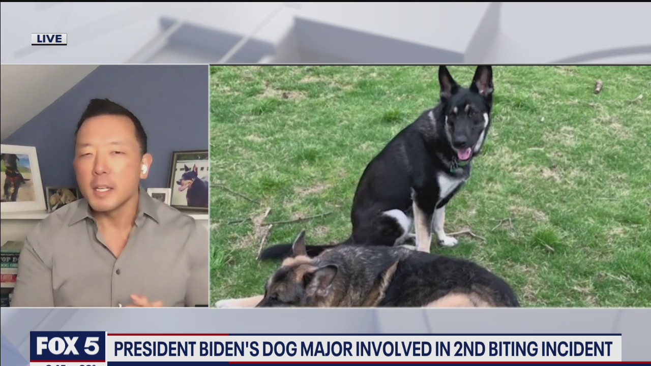 Dog aggression expert talks second biting incident at White House