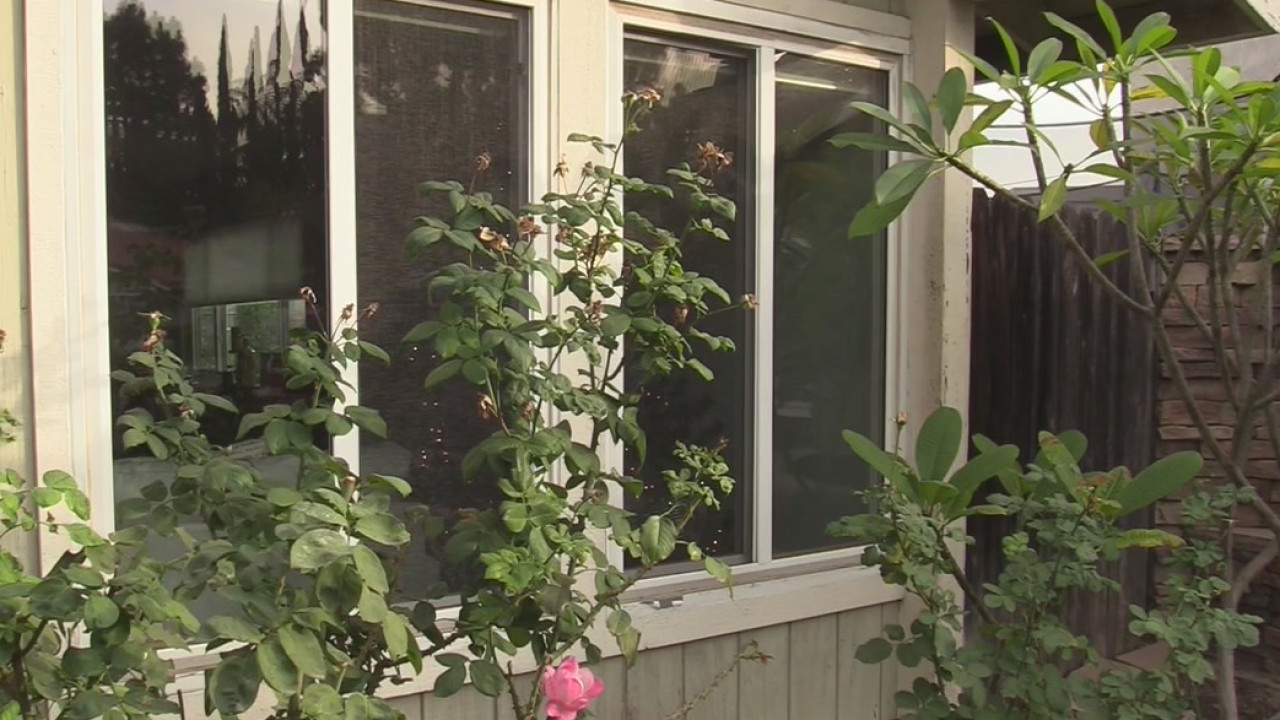 Protecting your property this holiday season