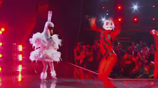 'The Masked Singer:' Swan exit interview