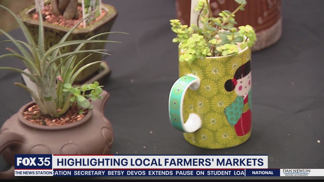 Father and daughter merge art and plants at the downtown Orlando Farmer's Market