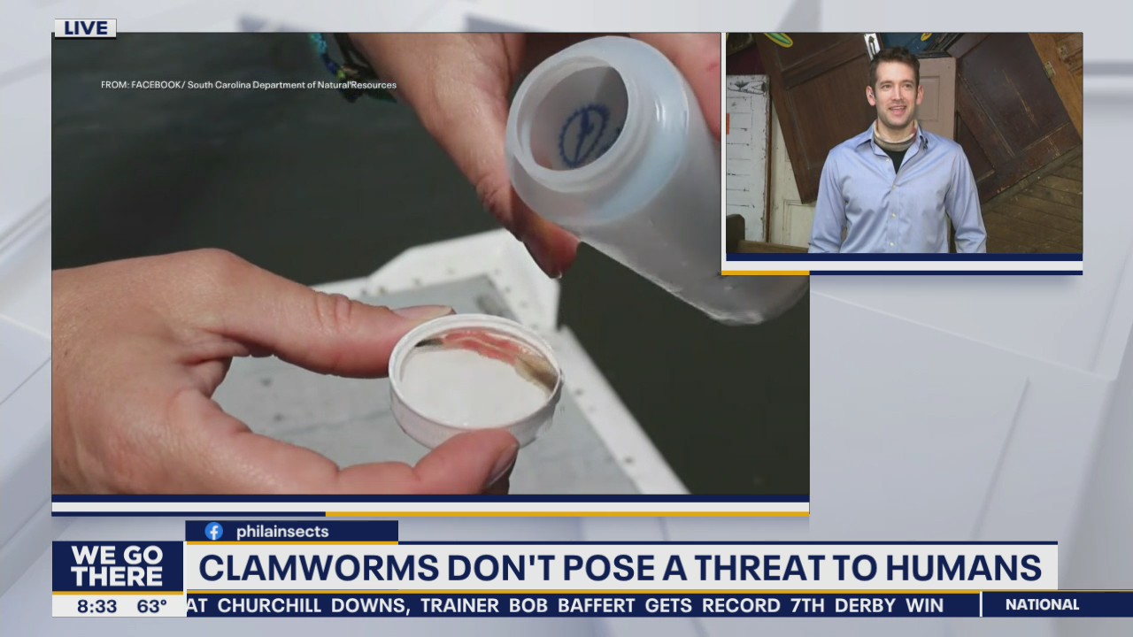 What you need to know about invasive jumping worms and clamworms
