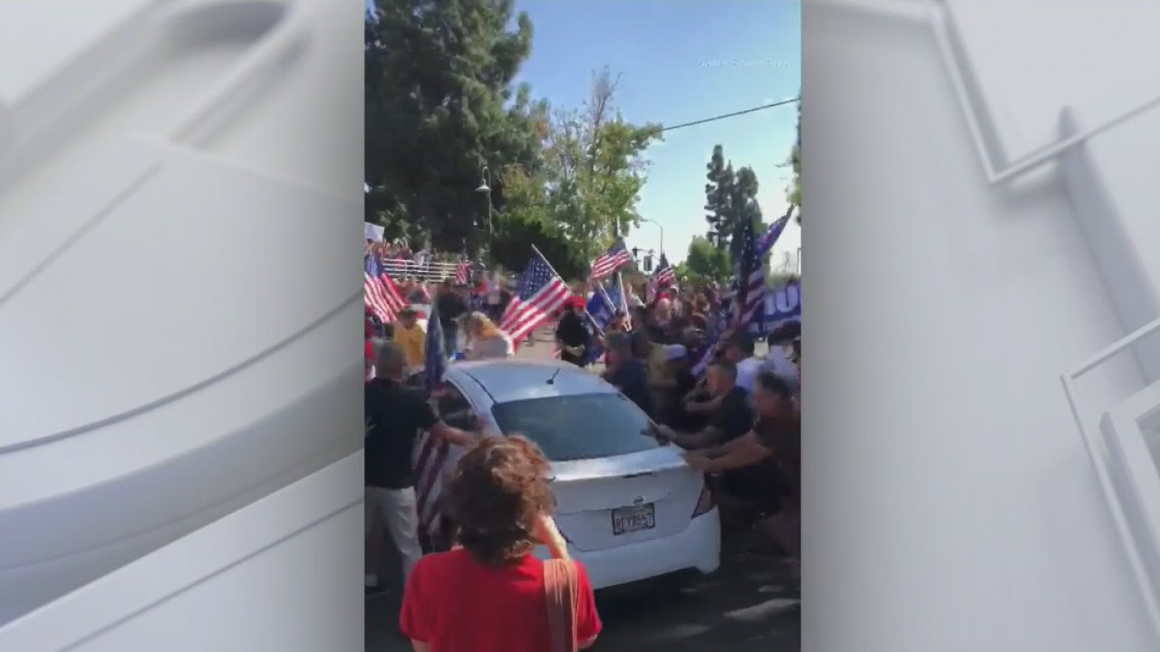 Woman arrested after driving into a crowd of protesters