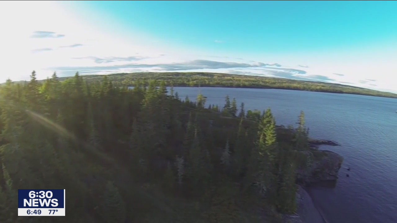 Wolf pups born on Lake Superior's Isle Royale in 2019, 2020