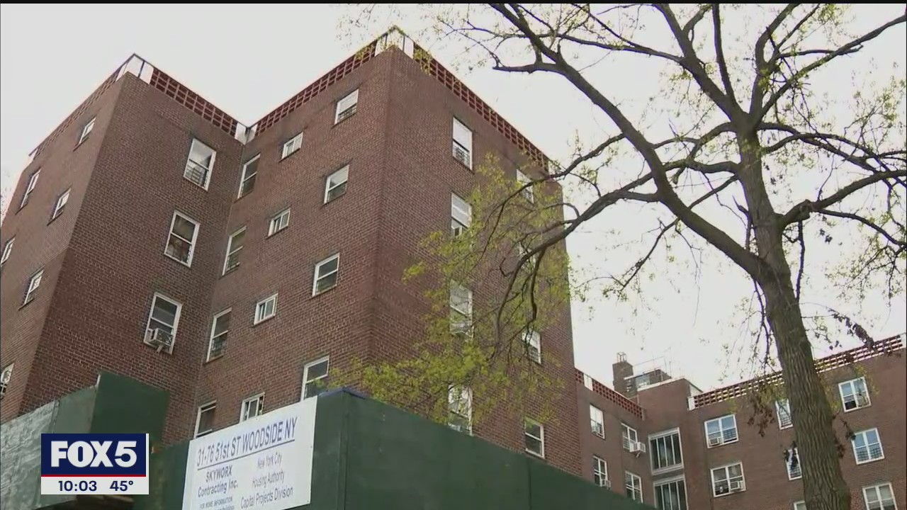 Infants found dead in Queens