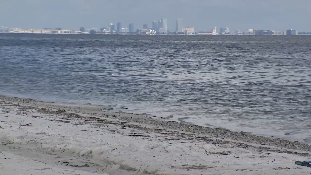 It’s license-free saltwater fishing weekend in Florida