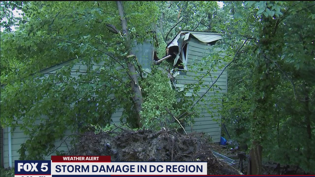 Power outages, downed trees after DC region cleans up after severe storms