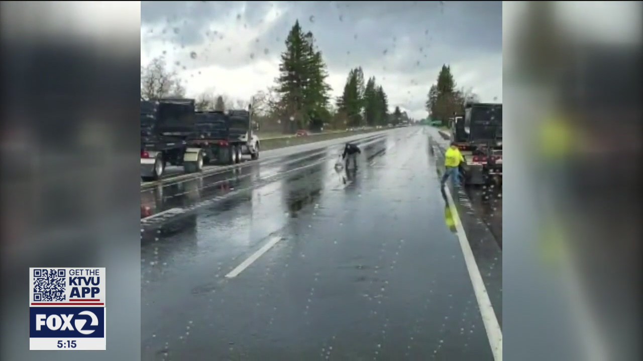 Bay Area drivers struggle with slick winter weather roadways