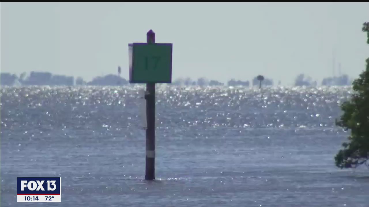 Combatting rising sea levels