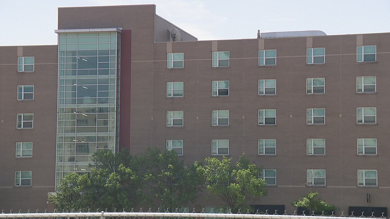 International students will have to leave or be deported if colleges offer online only classes