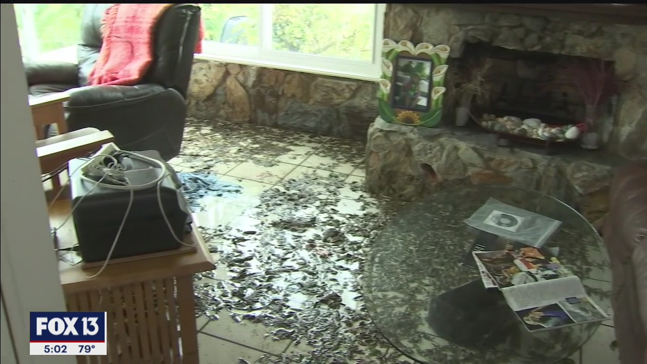 Cleanup underway after Eta floods Gulfport