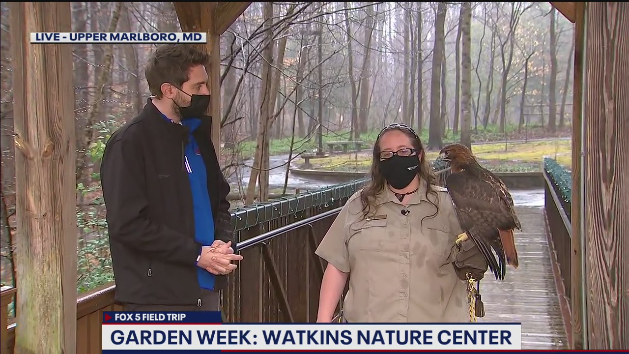 FOX 5 FIELD TRIP: Wildlife galore at the Watkins Nature Center!