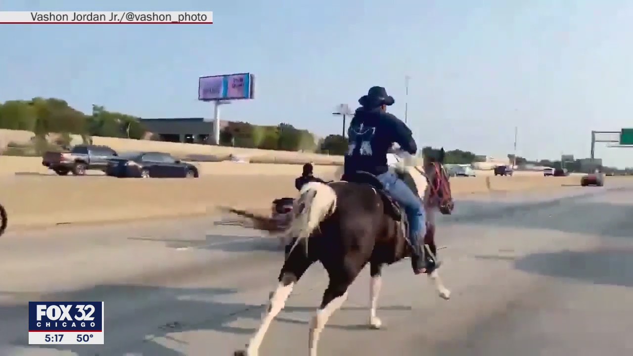 Chicago's 'Dread Head Cowboy' says he fired his attorney, still hasn't been reunited with horse