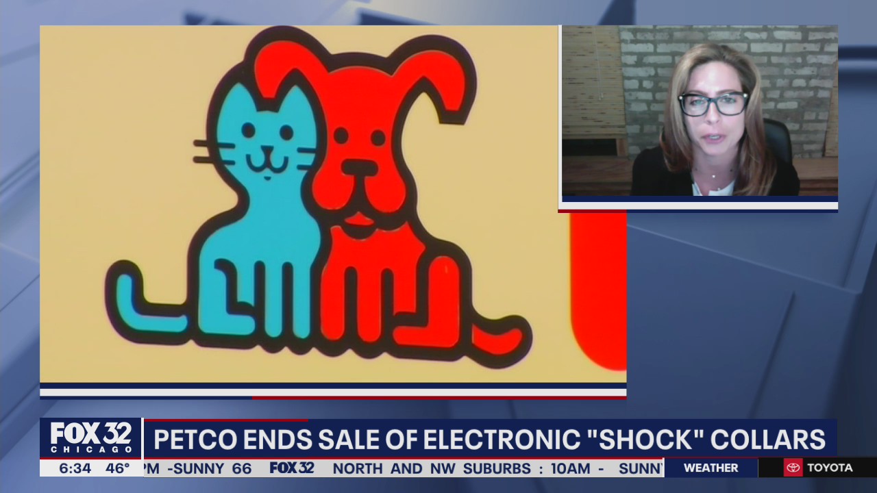 Petco ends sale of electronic 'shock' collars, calls on others to do the same