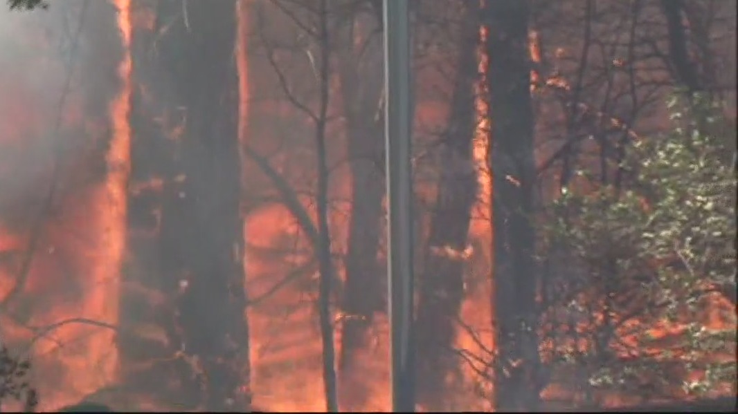 Wildfire concern high for Travis County after winter storm, rain