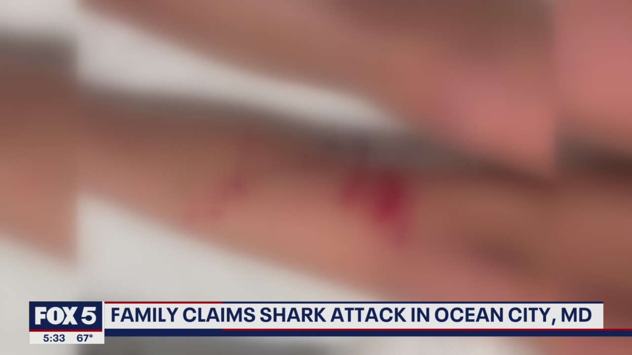 Girl injured in suspected shark attack in Ocean City, Maryland