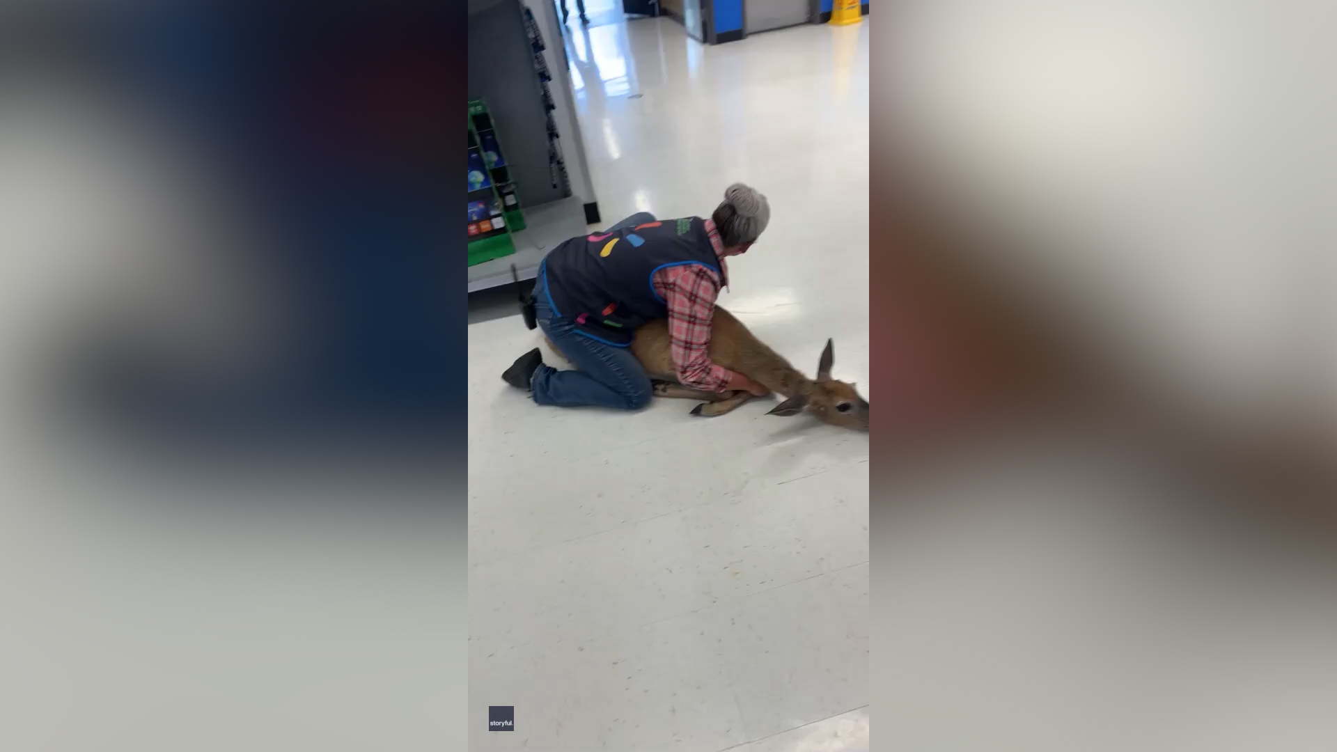 Walmart employee pins deer in Wisconsin store
