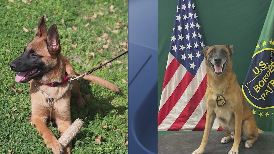 Arizona Border Patrol K-9 Officer retires after 7 years of service