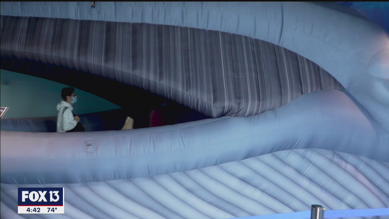 Rediscover the Clearwater Marine Aquarium