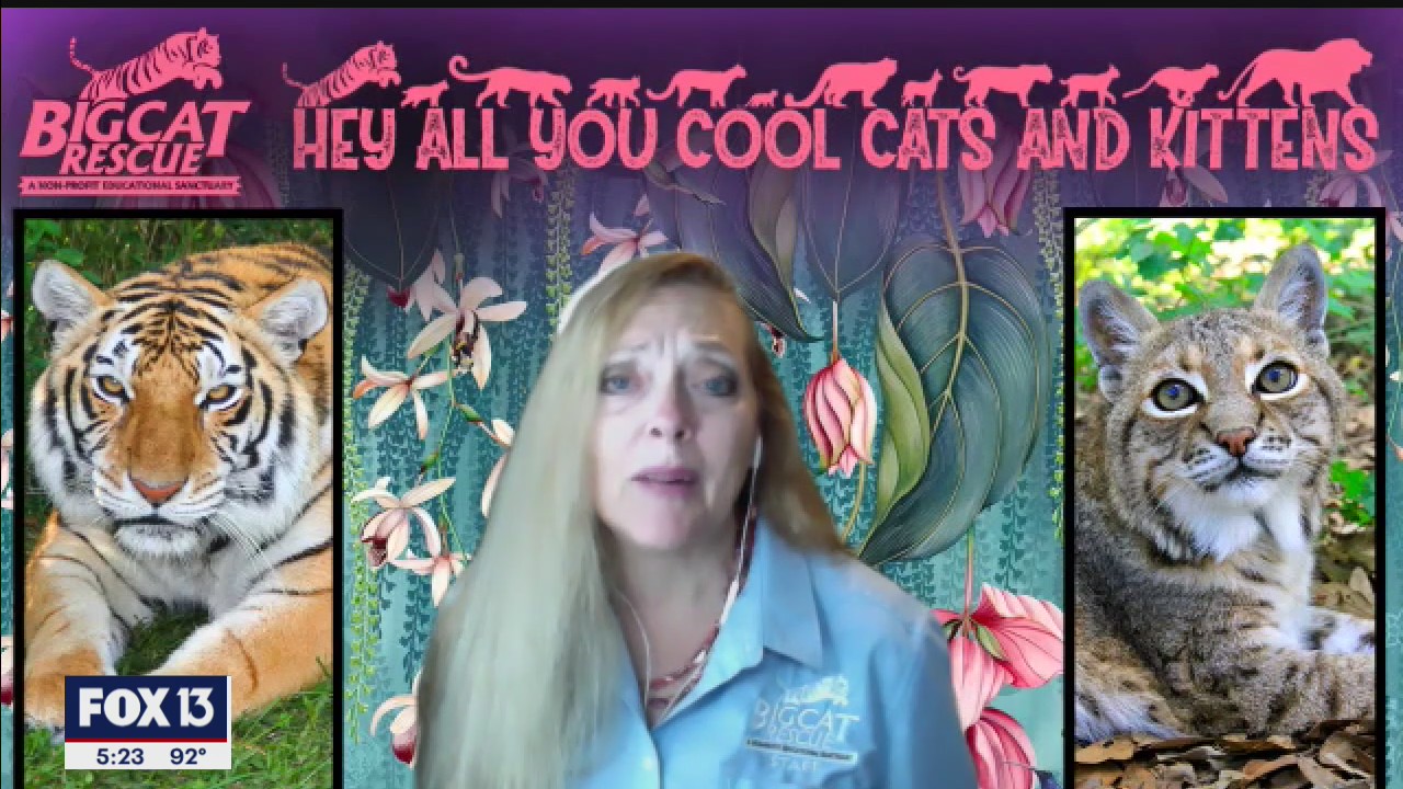 Carole Baskin says she's still focused on the cats