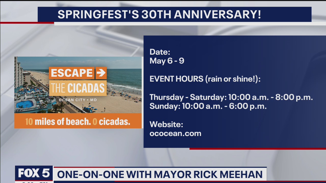 Sick of the cicadas? Ocean City beaches are 'cicada-free' zones, mayor say