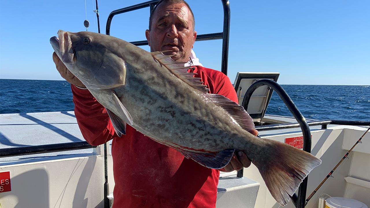 Gag grouper season closes soon