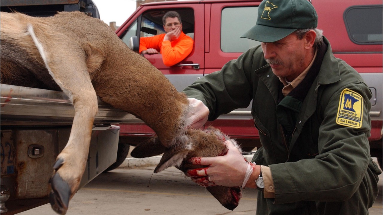 Nevada Department of Wildlife warns of 'zombie' deer disease spreading through other states
