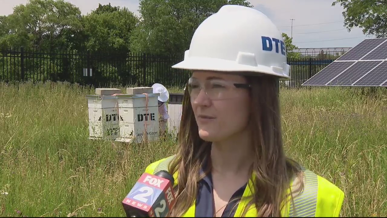 DTE's efforts to help pollinators includes assisting 160,000 bees