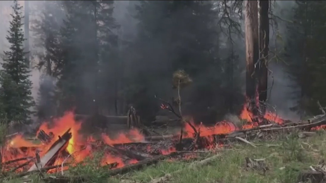 Extreme wildfire in Oregon prompts officials to ask for backup