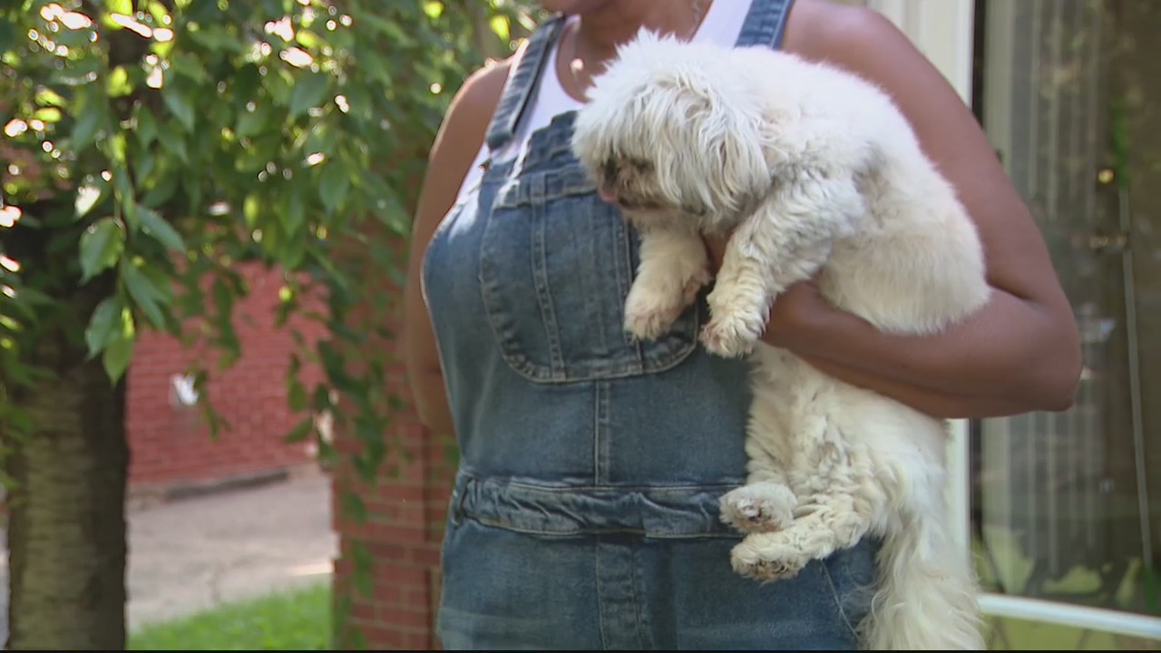 Dog found inside home with 2 dead bodies as police investigate their deaths