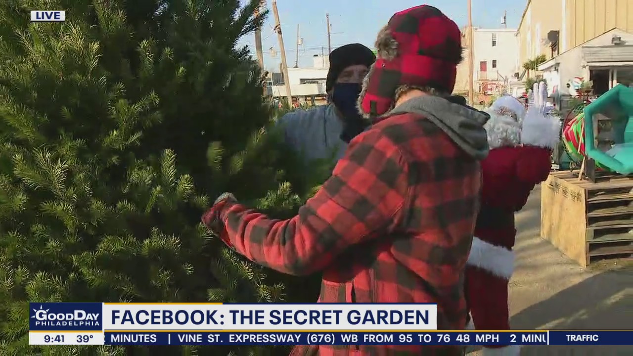Bob on the Job: Christmas tree farmer