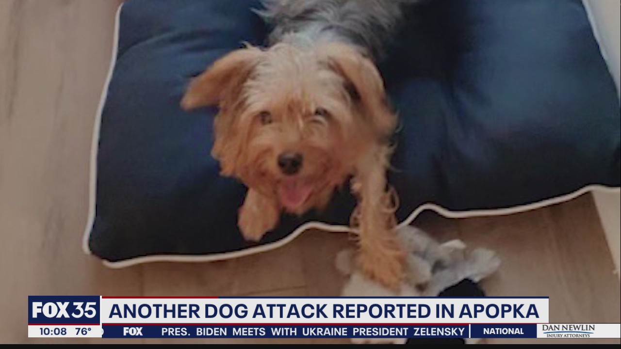 Another dog attack reported in Apopka