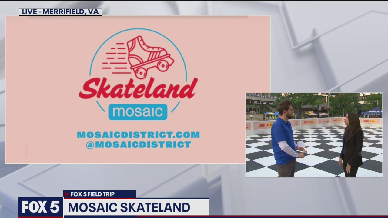 Mosaic Skateland