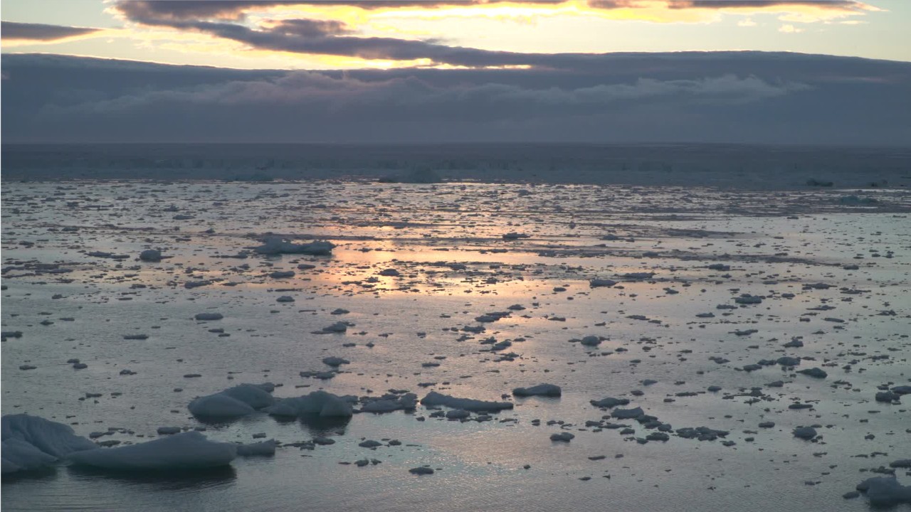 Hottest January in Earth’s recorded history in 2020