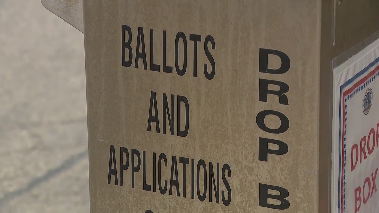 Candidate Brenda Hill raises concerns about election results in Redford Township