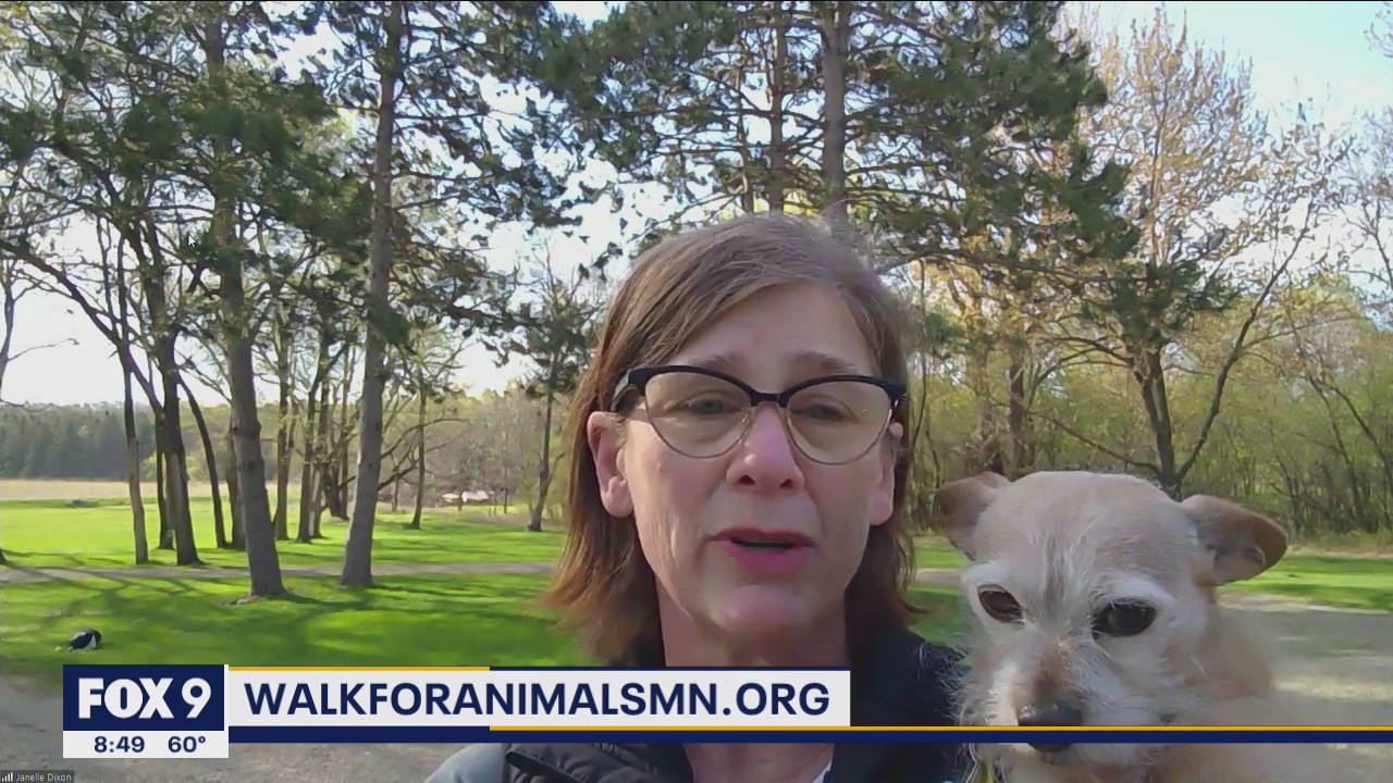 Animal Humane Society Walk for Animals kicks off this weekend