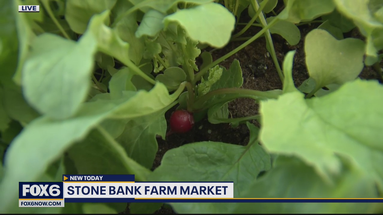 The Stone Bank Market is a local year round stop for seasonal foods and so much more