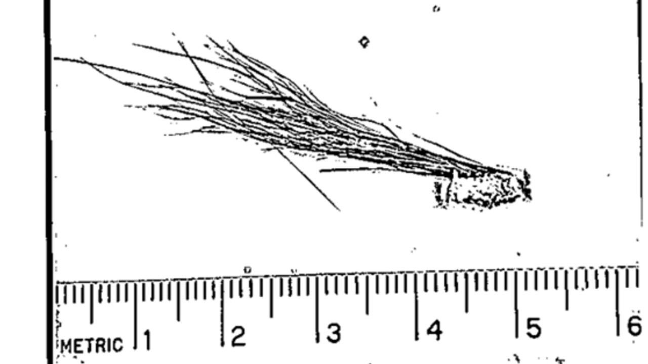 FBI releases previously classified documents with details of alleged physical evidence of Bigfoot